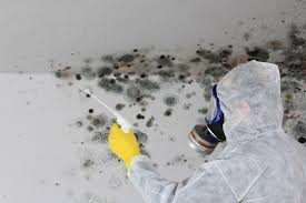 Mold Remediation for Rental Properties in Crockett, TX